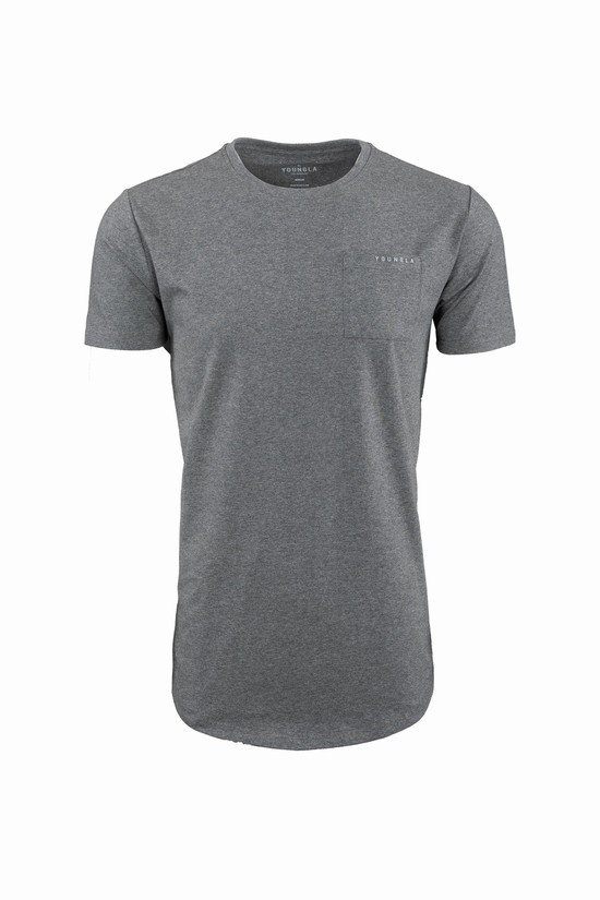 Camisas Youngla 406 Perfect Pocket Hombre Gris | QLBMJKY-64