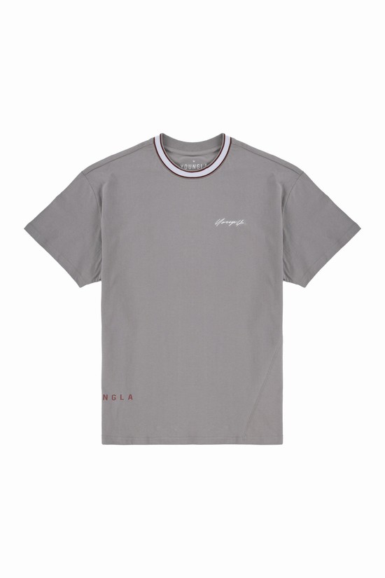 Camisas Youngla 451 Noble Hombre Gris | YTNKQXJ-47