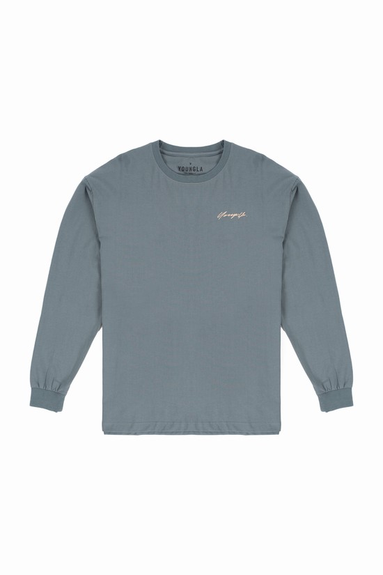 Camisas Youngla 812 Signature Long Sleeves Hombre Gris Claro | QDMRTCL-92