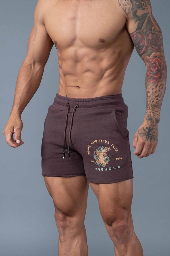 Pantalones Cortos Youngla 111 Dedication Hombre Cafe | PVINLJU-37