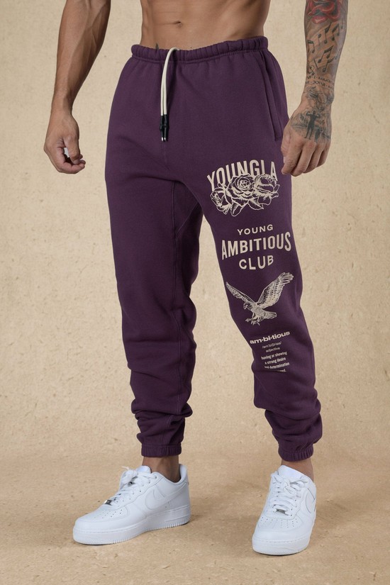 Pantalones Jogger Youngla 233 The Immortal Fall 22" Hombre Moradas | DMFRANT-85